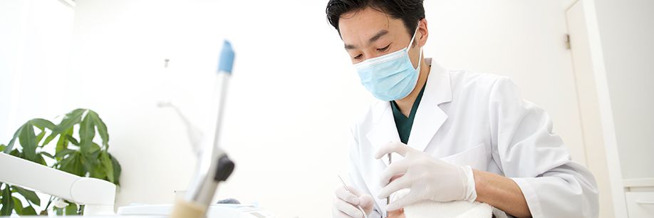 エムドゲイン治療の流れ